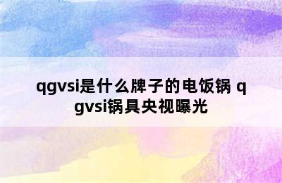 qgvsi是什么牌子的电饭锅 qgvsi锅具央视曝光